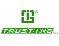 Комплект тормозных колодок, стояночная тормозная система TRUSTING 046.232